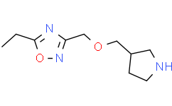 5-乙基-3-((吡咯烷-3-基甲氧基)甲基)-1，2，4-噁二唑