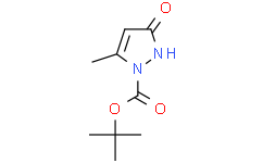 3-羟基-5-甲基-1H-吡唑-1-甲酸叔丁酯