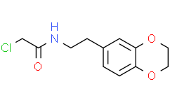 2-Chloro-N-[2-(2,3-dihydro-1,4-benzodioxin-6-yl)ethyl]acetamide