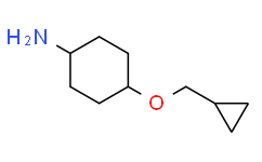 反式-4-(环丙基甲氧基)环己胺
