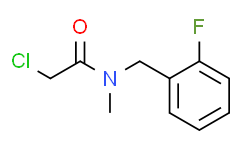 2-chloro-N-[(2-fluorophenyl)methyl]-N-methylacetamide