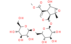 6'-O-β-D-Glucopyranosyl phlorigidoside C