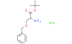 O-苄基-L-丝氨酸叔丁酯盐酸盐