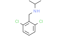 N-(2,6-二氯苄基)丙-2-胺