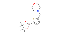 5-(4-吗啉甲基)噻吩-2-硼酸频哪酯
