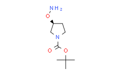 (S)-3-(氨基氧基)吡咯烷-1-羧酸叔丁酯