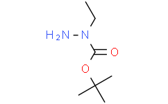 1-乙基肼羧酸叔丁酯