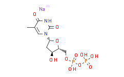 2′-脱氧胸苷-5′-二磷酸三钠盐/dTDP