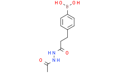 4-(3-(2-乙酰肼基)-3-氧丙基)苯基硼酸