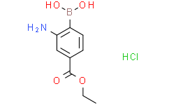 2-氨基-4-乙氧基羰基苯基硼酸盐酸盐
