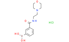 3-(2-Morpholinoethylcarbamoyl)phenylboronic acid, HCl