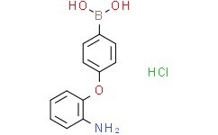 4-(2-氨基苯氧基)苯基硼酸 盐酸盐