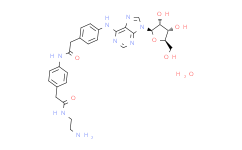 Adenosine amine congener