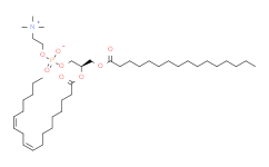 L-α-磷脂酰胆碱(大豆)