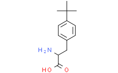 2-氨基-3-(4-(叔丁基)苯基)丙酸