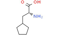 (R)-2-氨基-3-环戊基丙酸