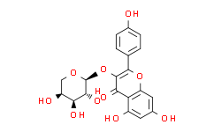 山柰酚-3-O-α-L-吡喃阿拉伯糖苷
