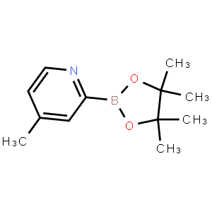 4-Methylpyridine-2-boronic acid pinacol ester