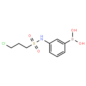 3-(3-Chloropropylsulfonamido)benzeneboronic acid