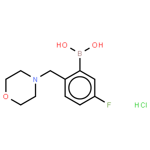 5-Fluoro-2-(morpholinomethyl)phenylboronic acid, HCl