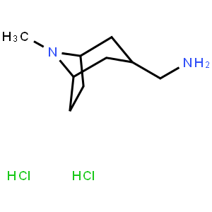 (8-Methyl-8-azabicyclo[3.2.1]octan-3-yl)methanamine dihydrochloride