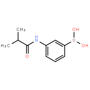 3-Isobutyramidobenzeneboronic acid