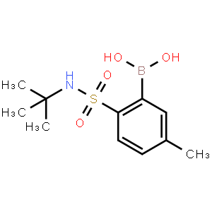 2-(t-Butylsulfamoyl)-5-methylphenylboronic acid