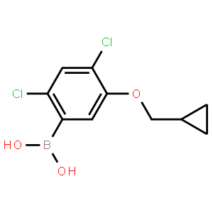2,4-Dichloro-5-(cyclopropylmethoxy)phenylboronic acid