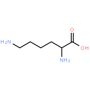 赖氨酸-琼脂糖凝胶 4B