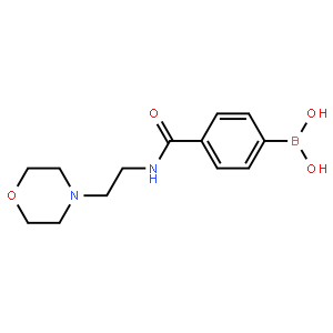 4-[2-(4-Morpholinyl)ethylcarbamoyl]benzeneboronic acid