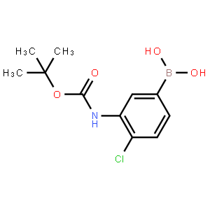 3-(Boc-amino)-4-chlorobenzeneboronic acid