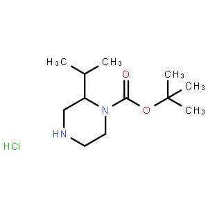 tert-Butyl 2-isopropylpiperazine-1-carboxylate hydrochloride