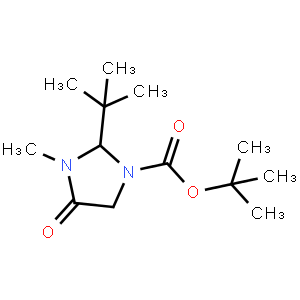 (R)-tert-Butyl 2-(tert-butyl)-3-methyl-4-oxoimidazolidine-1-carboxylate