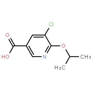 5-氯-6-(1-甲氧基)-3-吡啶羧酸
