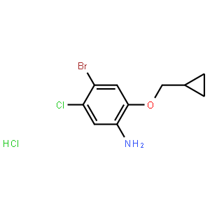4-Bromo-5-chloro-2-(cyclopropylmethoxy)aniline HCl
