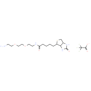 N-生物素基-3,6-二氧辛烷-1,8-二胺 三氟乙酸盐
