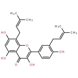 构树黄酮醇F