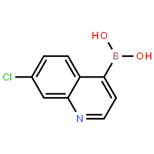 7-Chloroquinoline-4-boronic acid