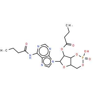 N6,2'-O-Dibutyryladenosine 3',5'-cyclic monophosphate