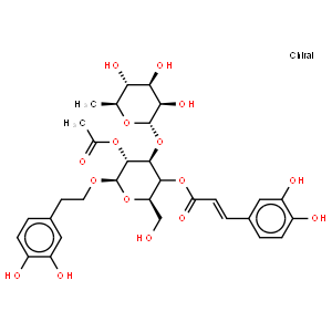 2-乙酰基毛蕊花糖苷; 2-乙酰基麦角甾苷