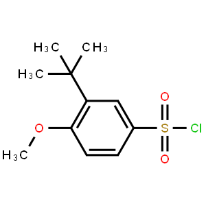 3-tert-Butyl-4-methoxy-benzenesulfonyl chloride