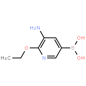 (5-Amino-6-ethoxypyridin-3-yl)boronic acid