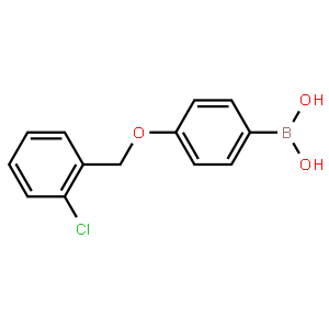 4-(2-Chlorophenylmethoxy)phenylboronic acid
