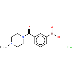 3-(4-Methyl-1-piperazinylcarbonyl)benzeneboronic acid hydrochloride