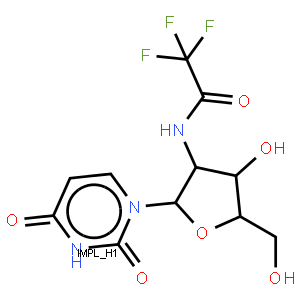 2'-TFA-NH-dU