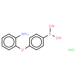 4-(2-Aminophenoxy)phenylboronic acid, HCl