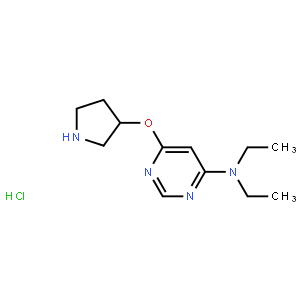 (R)-N,N-Diethyl-6-(pyrrolidin-3-yloxy)pyrimidin-4-amine hydrochloride