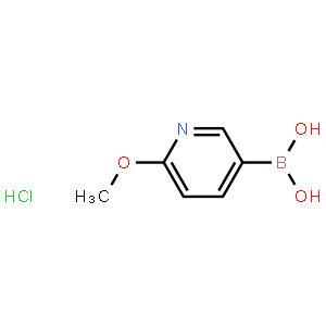 2-Methoxypyridine-5-boronic acid hydrochloride