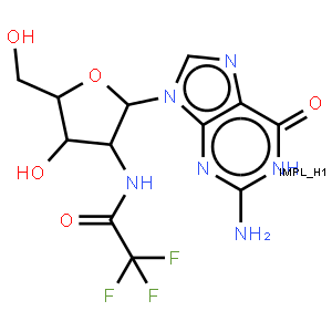 2'-TFA-NH-dG