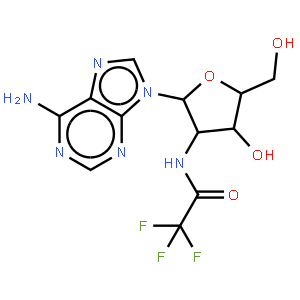 2'-TFA-NH-dA